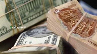 سعر صرف الدولار الأمريكي مقابل الجنيه المصري