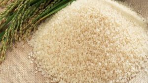 سعر طن الأرز الشعير اليوم