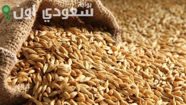سعر طن الأرز الشعير في مصر 