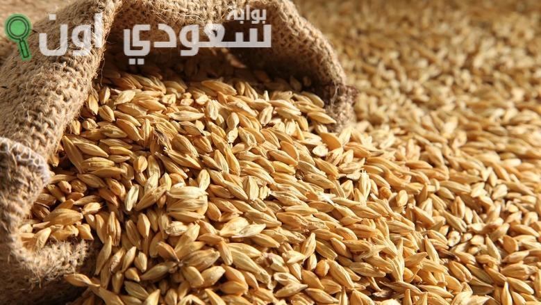 سعر طن الأرز الشعير