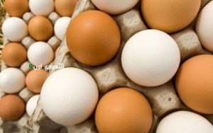 سعر كرتونة البيض اليوم الخميس 22-5-2025 للتاجر والمستهلك.. تحديث مستمر