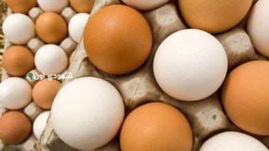 سعر كرتونة البيض اليوم الخميس 22-5-2025 للتاجر والمستهلك.. تحديث مستمر