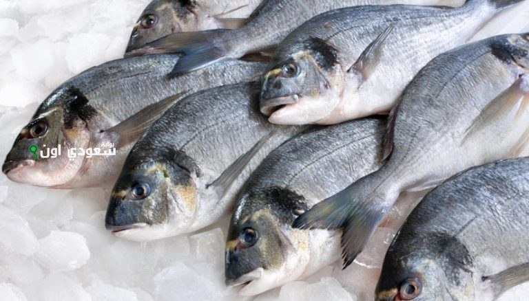 سعر كيلو البلطي اليوم في مصر