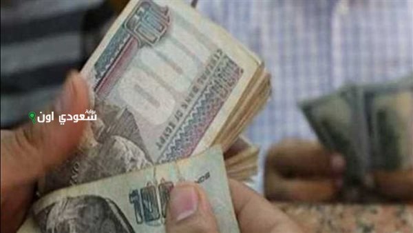 سلم رواتب المعلمين