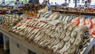سوق العبور اليوم