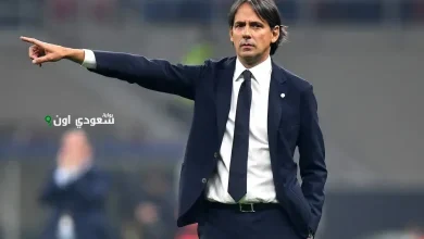 سيموني إنزاجي