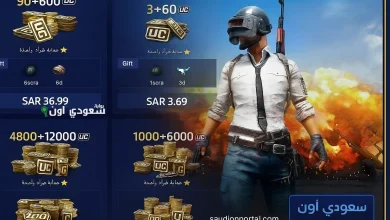 شحن شدات ببجي