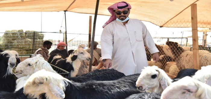 شروط الحصول على دعم
