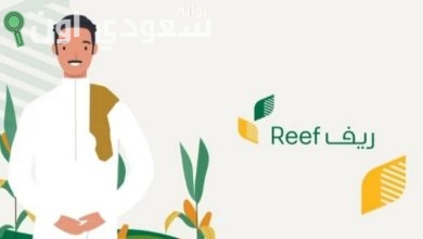 شروط دعم ريفي