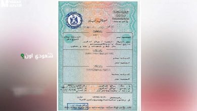 شهادة الميلاد الإلكترونية للأسر الحاضنة.. خدمة فورية تنهي الملفات الورقية