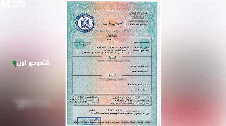 شهادة الميلاد الإلكترونية للأسر الحاضنة.. خدمة فورية تنهي الملفات الورقية