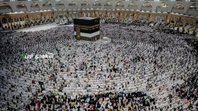 ضبط مواطن سعودي ينقل 12 وافد من حاملي تأشيرات الزيارة المخالفة للتعليمات والأنظمة