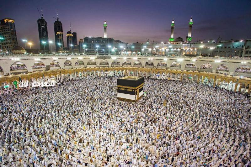 ضبط مواطن سعودي ينقل 12 وافد من حاملي تأشيرات الزيارة المخالفة للتعليمات والأنظمة