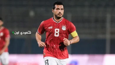 اللاعب طارق حامد