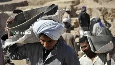 طريقة التقديم في العماله الغير منتظمه