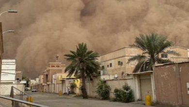 حالة جوية شديدة في محافظة الرس بسبب تيارات هابطة ورياح قوية