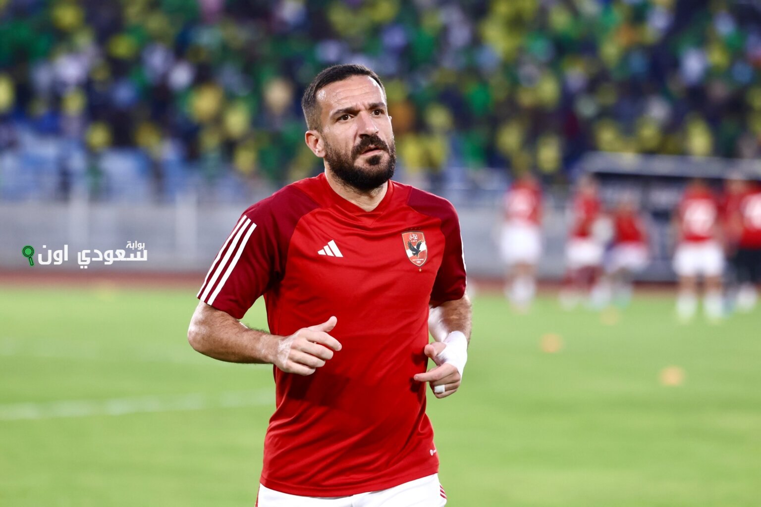 علي معلول