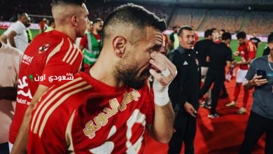 علي معلول