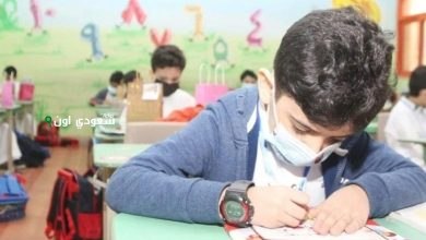 فرحة لا توصف نتيجة الصف الثالث الابتدائي بالاسم فقط 2025 خطوات استعلام سريع لكل الطلاب