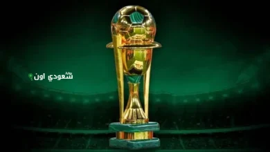 بطولة كأس خادم الحرمين الشريفين مشاركة واسعة من الشركات الكبرى