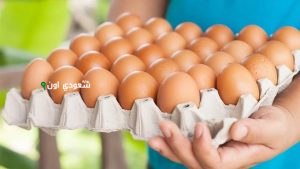 كرتونة البيض بكام