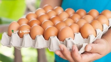كرتونة البيض بكام