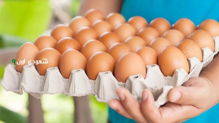 كرتونة البيض بكام