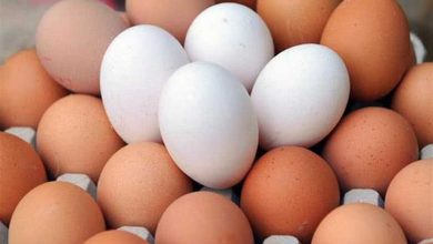 كرتونة البيض تسجل قفزة مفاجئة اليوم
