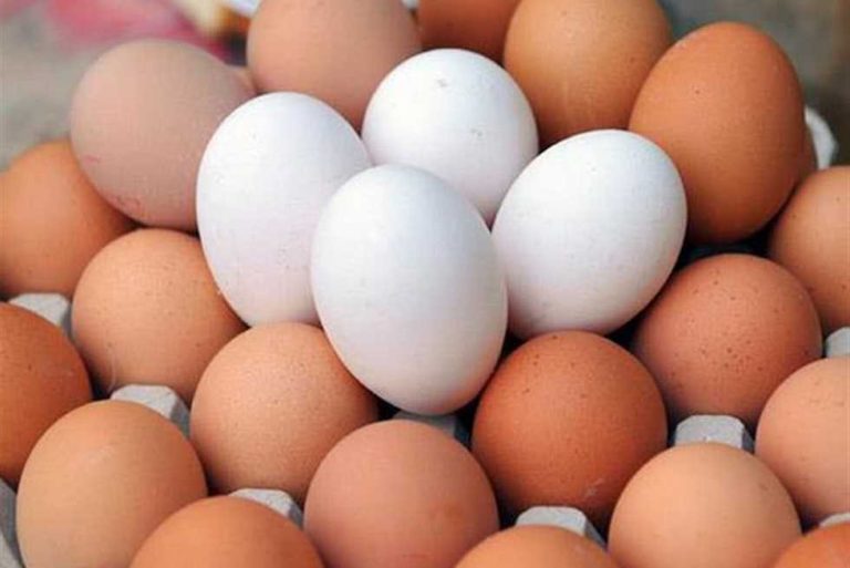 كرتونة البيض تسجل قفزة مفاجئة اليوم