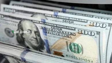 كل ما تريد معرفته عن سعر الدولار اليوم في مصر