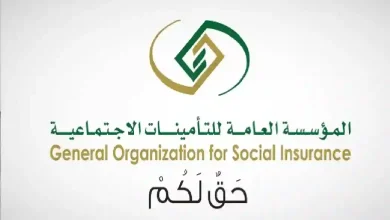 كل ما يخص معاشات التقاعد في السعودية 2025 ومواعيد صرفها حسب كل فئة