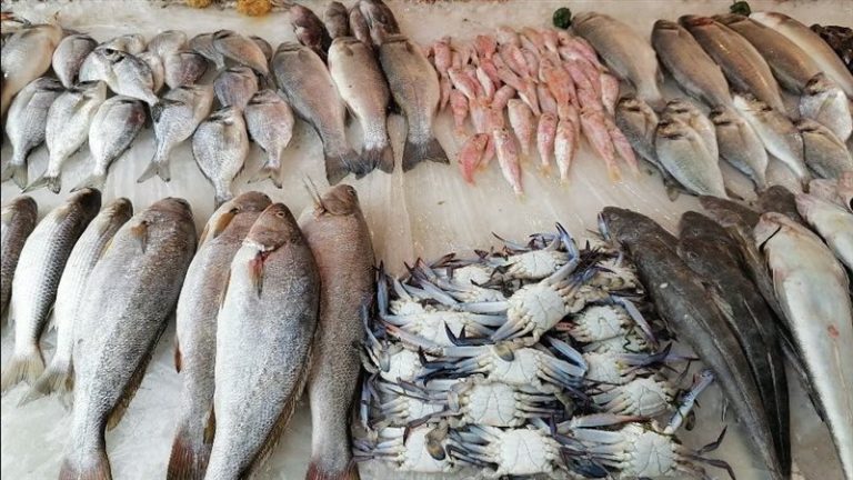 كم أسعار الأسماك في السوق المحلي المصري