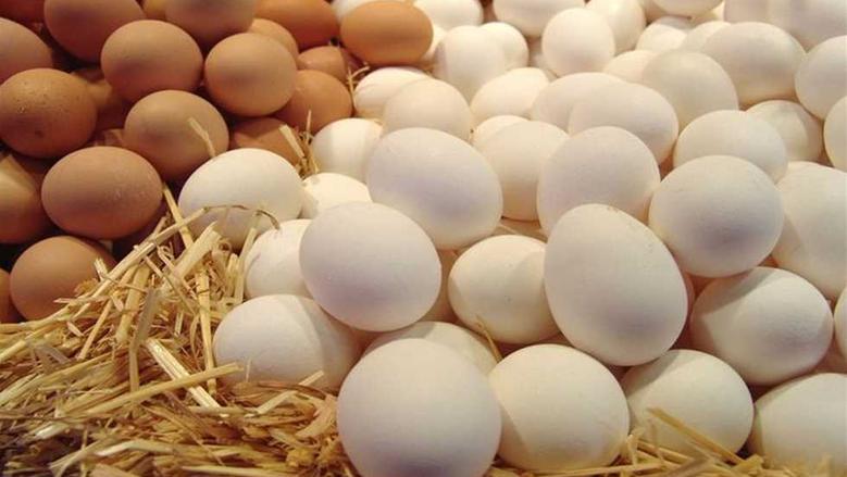 كم أسعار البيض الأحمر