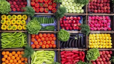 كم أسعار الخضراوات والفاكهة