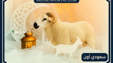 كم باقي على عيد الأضحى 2025