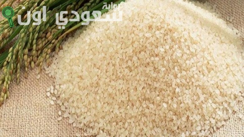 كم سعر الأرز الشعير
