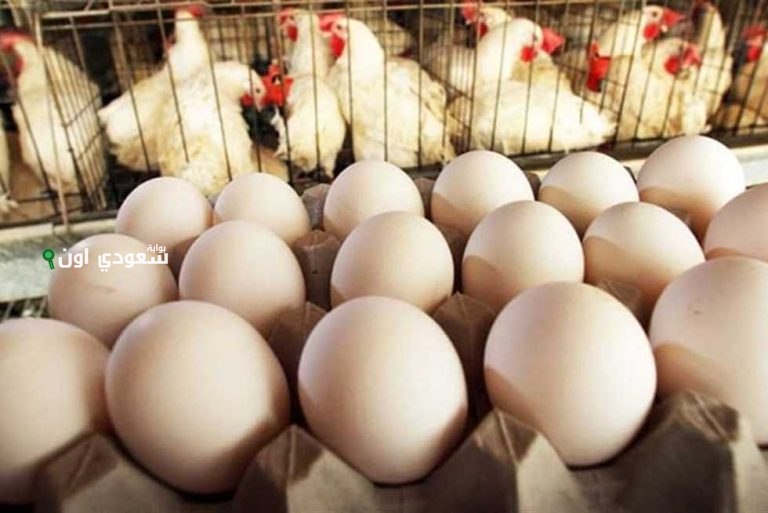 كم سعر البيض البلدي والاحمر والابيض اليوم