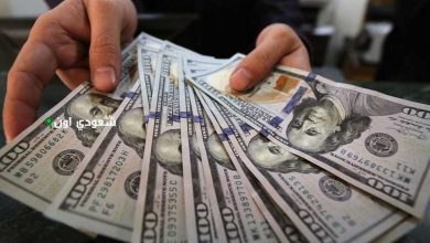 كم سعر الدولار مقابل الجنيه المصري اليوم الأحد