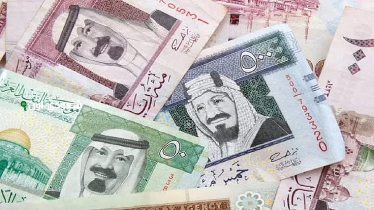كم سعر الريال السعودي اليوم في مصر