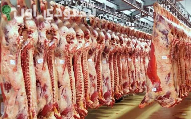 كم سعر اللحوم الحمراء اليوم