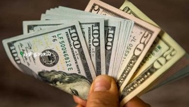 كم سعر صرف الدولار أمام الجنيه المصري اليوم الخميس 29-5-2025