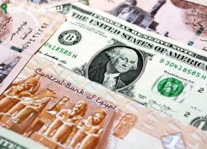 كم سعر صرف الدولار الأمريكي مقابل الجنيه المصري