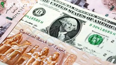 كم سعر صرف الدولار الأمريكي مقابل الجنيه المصري