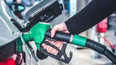 كم سعر لتر البنزين والسولار اليوم