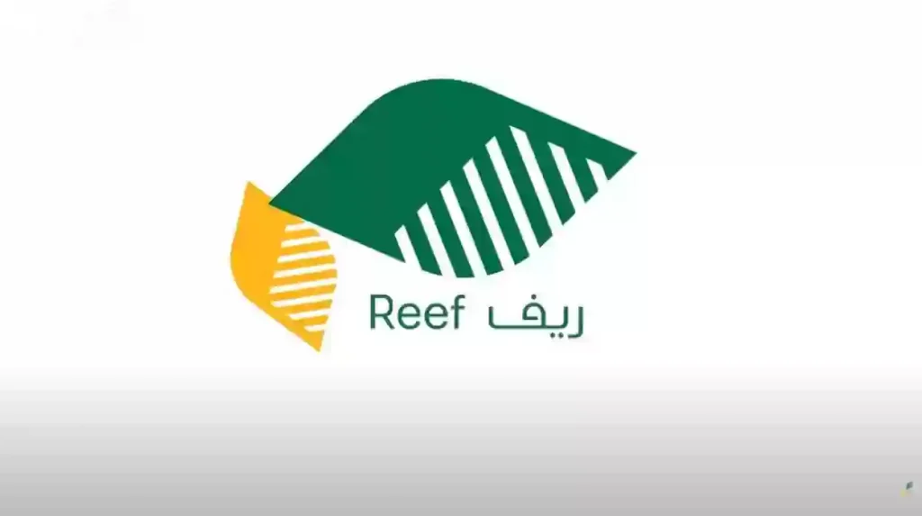 كيف تستفيد من دعم
