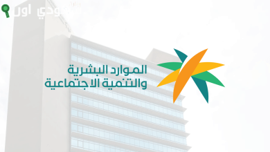 كيف يمكنني توثيق المؤهل في الموارد البشرية