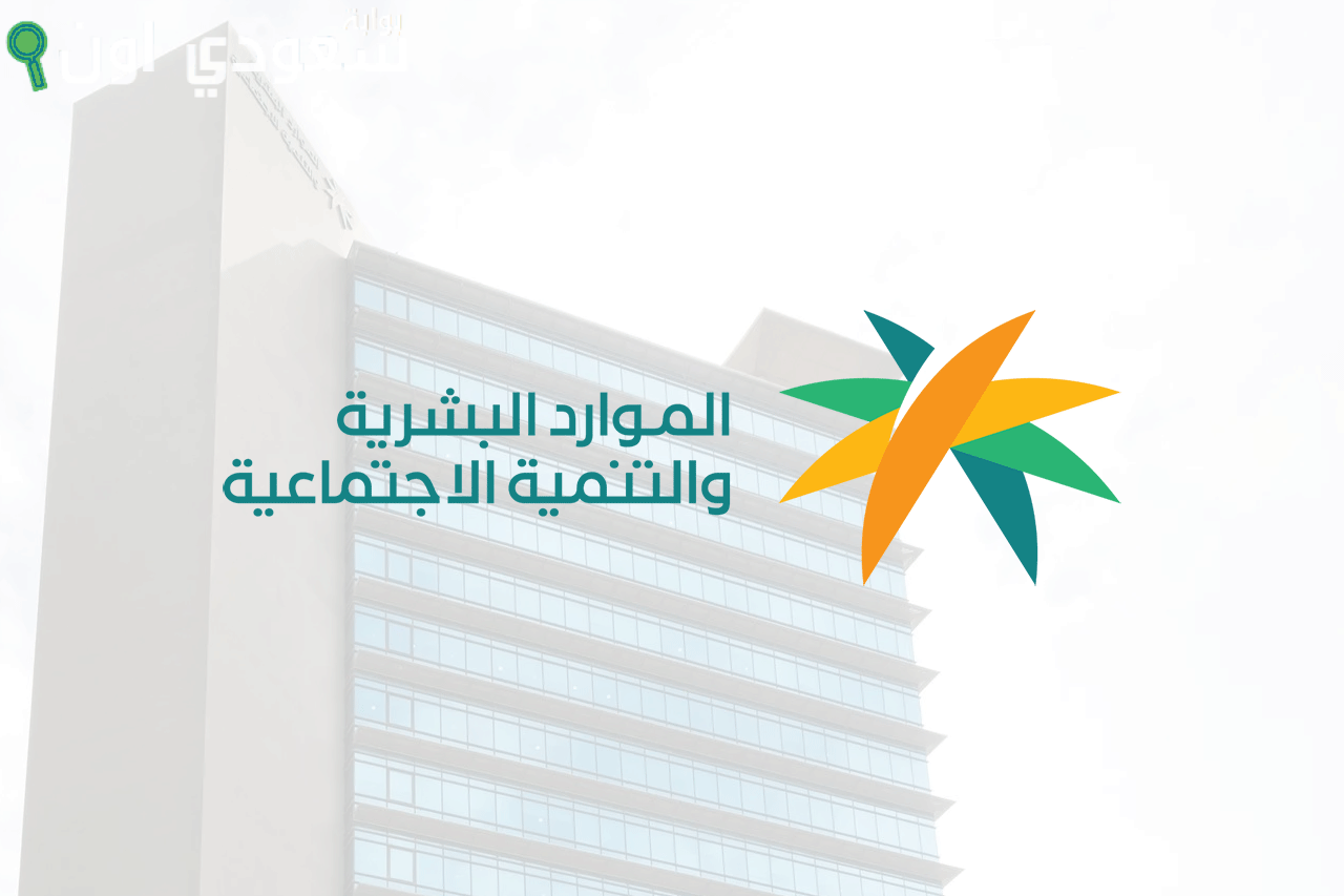 كيف يمكنني توثيق المؤهل في الموارد البشرية