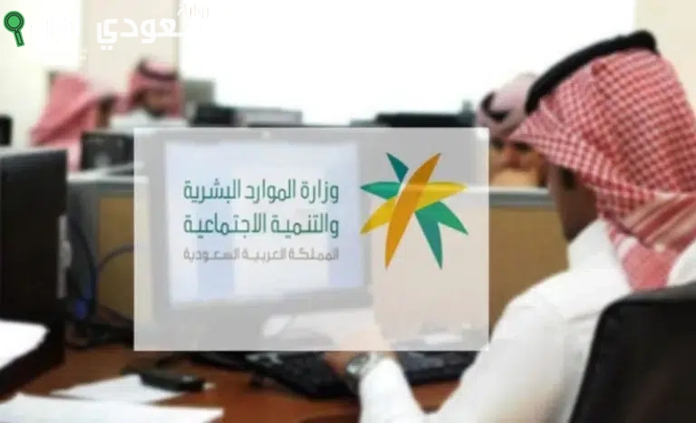 كيف يمكنني توثيق المؤهل في الموارد البشرية