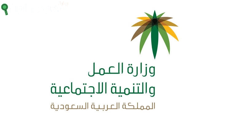 كيفية الاستعلام عن المخالفات