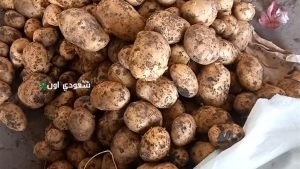 كيلو البطاطس وصل كام النهاردة